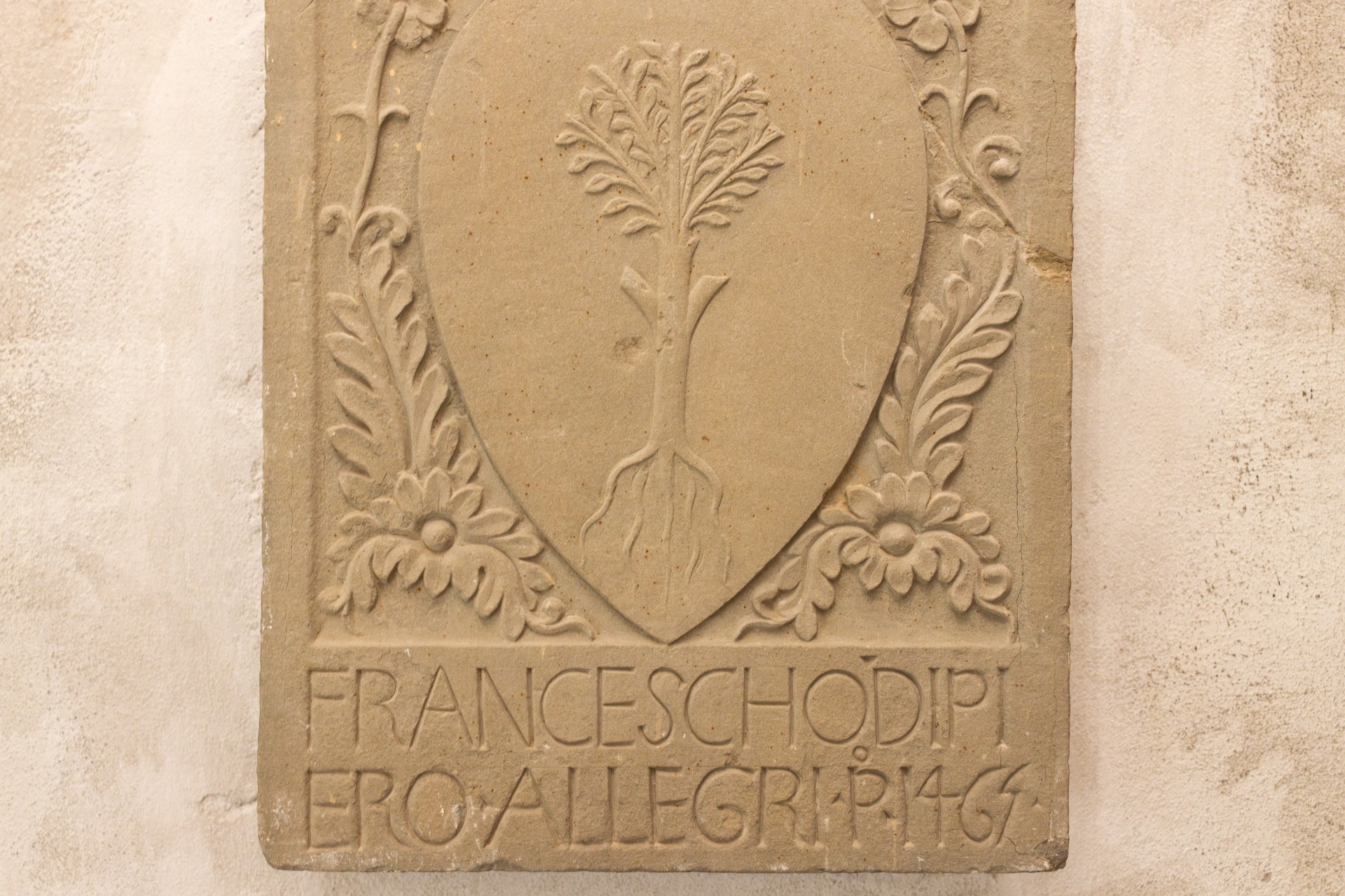 Carved stone relief plaque displaying a coat of arms with a rooted tree in a shield, surrounded by floral scrolls, with the Italian inscription FRANCESCHO DI PIERO ALLEGRI P 1467 below.