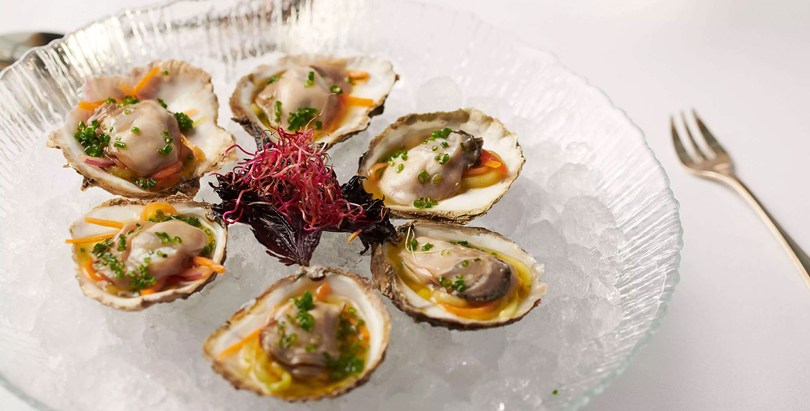 a plate of oysters on ice