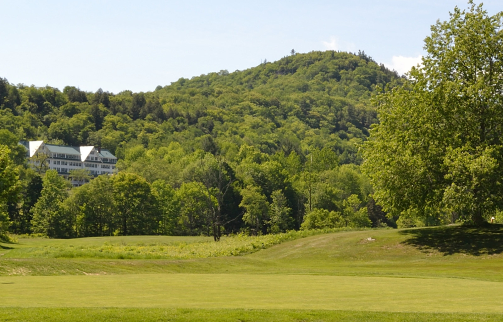 a large grassy field with trees and a building in the background