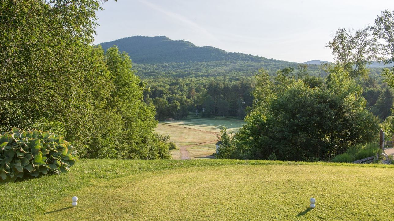 a golf course with trees and mountains in the background