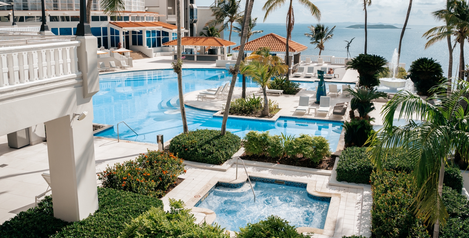 a swimming pool with palm trees and a large body of water