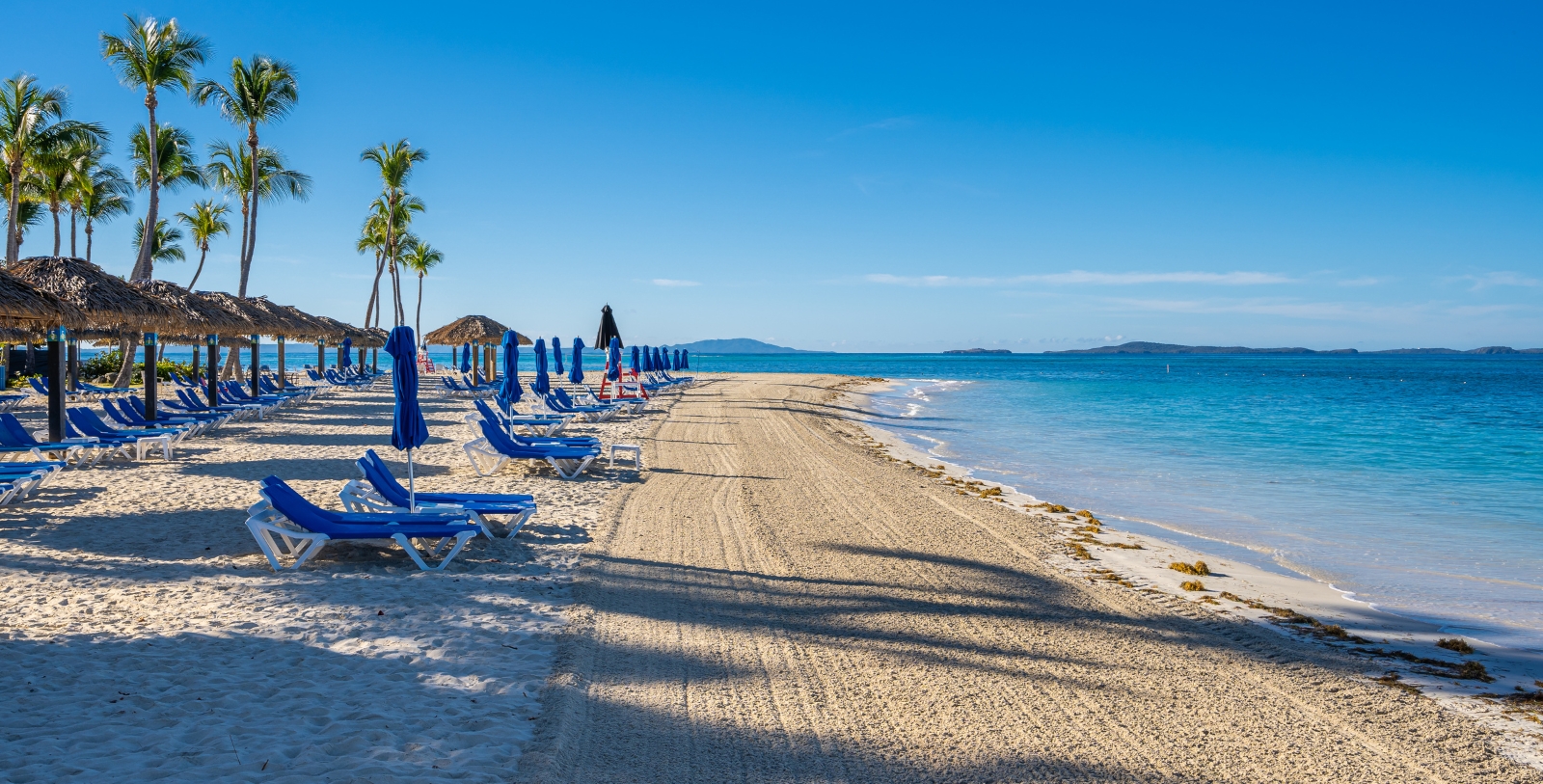 a beach with chairs and umbrellas