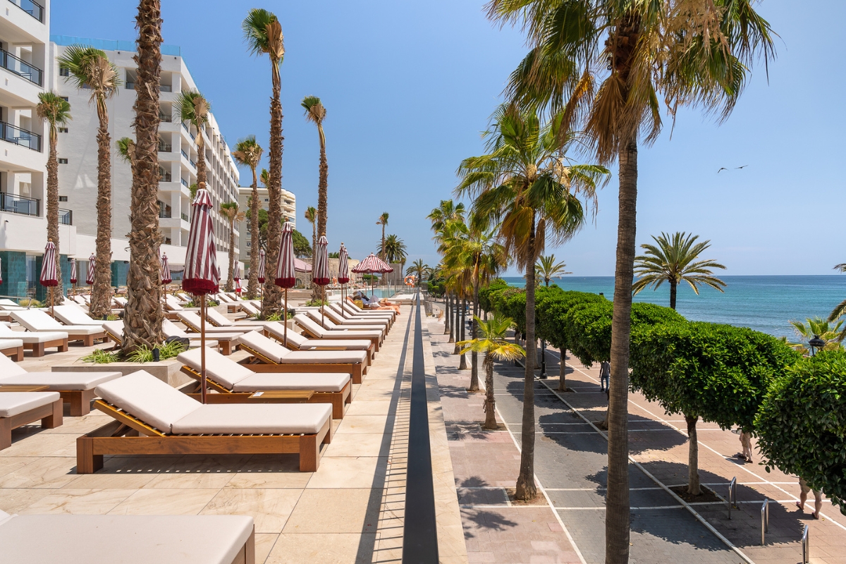 a row of lounge chairs and palm trees by a beach
