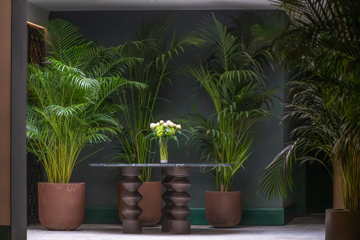 a table and potted plants in a room