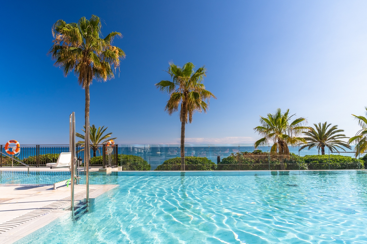 a pool with palm trees and a body of water