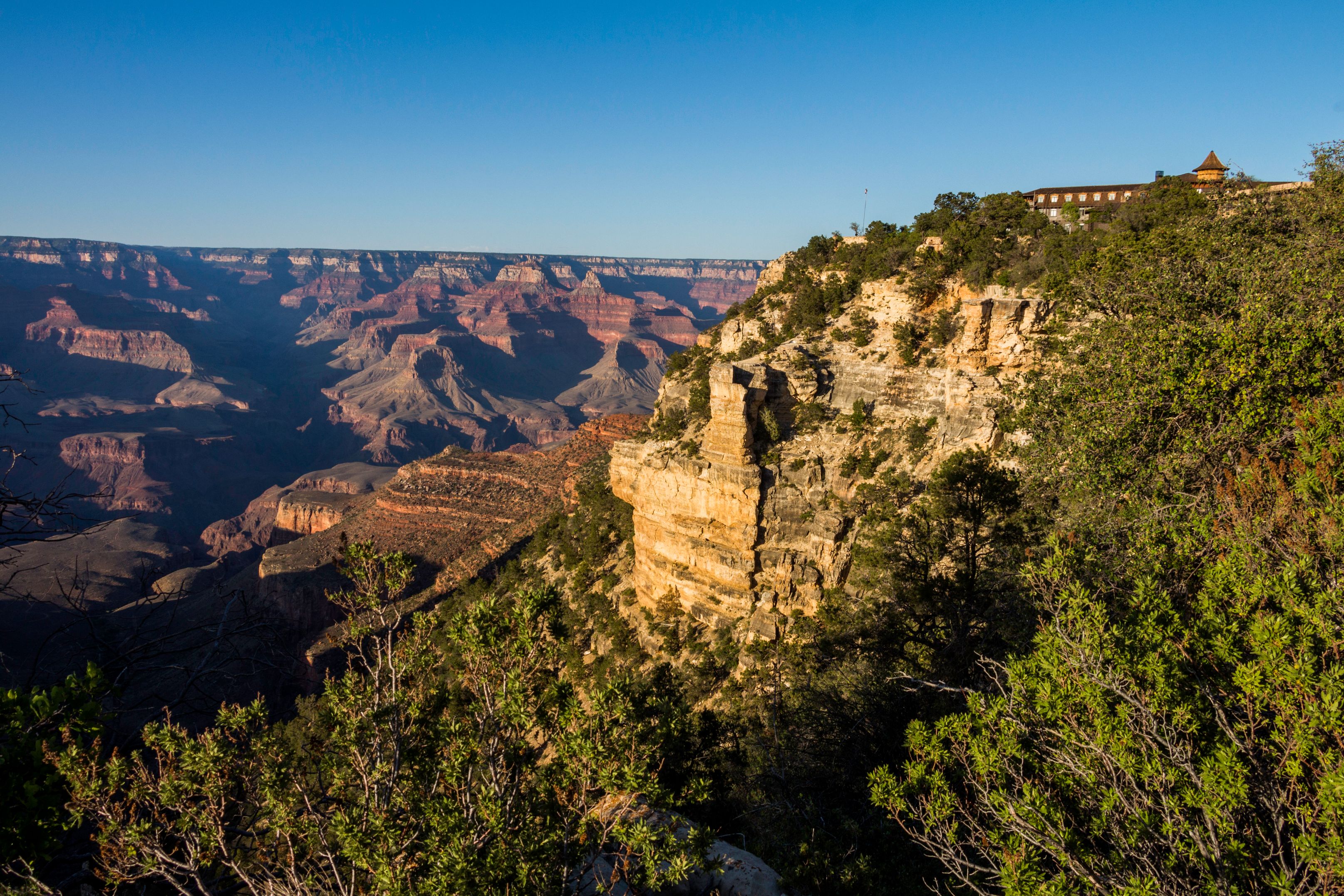 a large canyon with trees