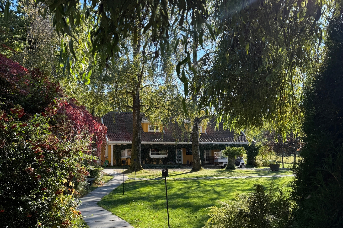 a house with a lawn and trees