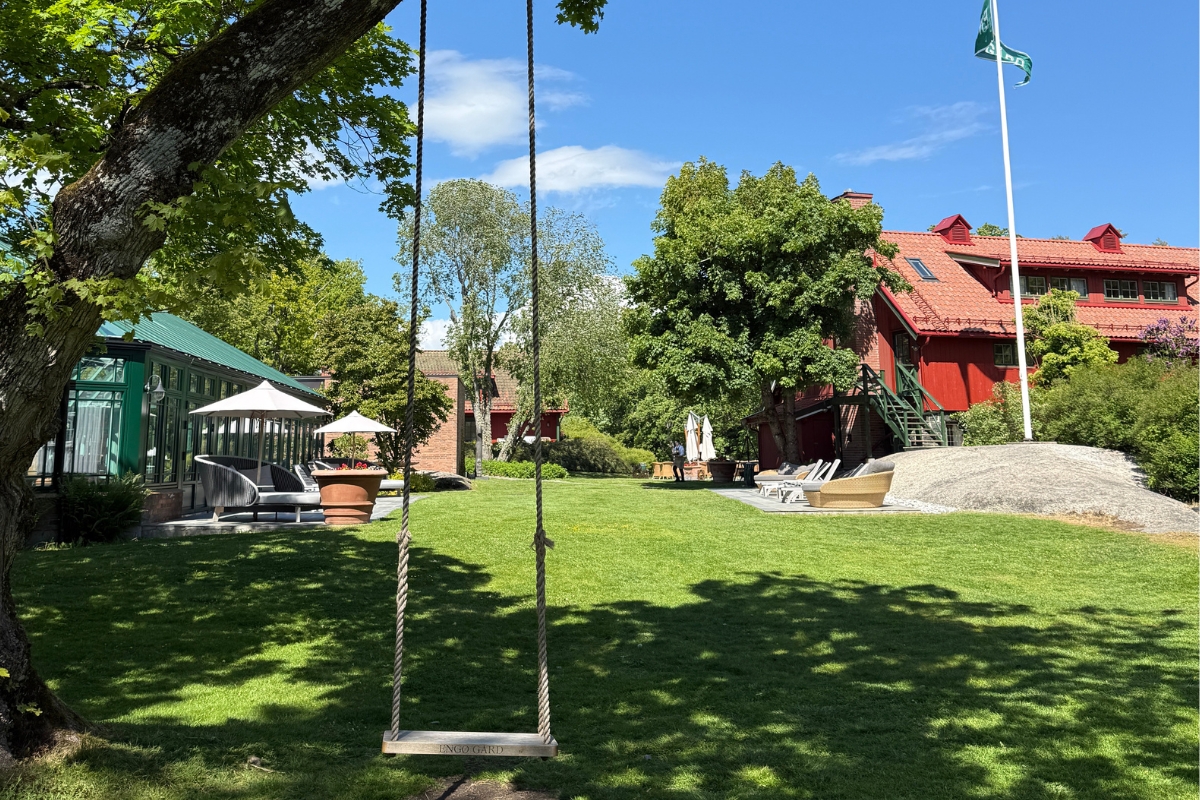 a swing in a tree