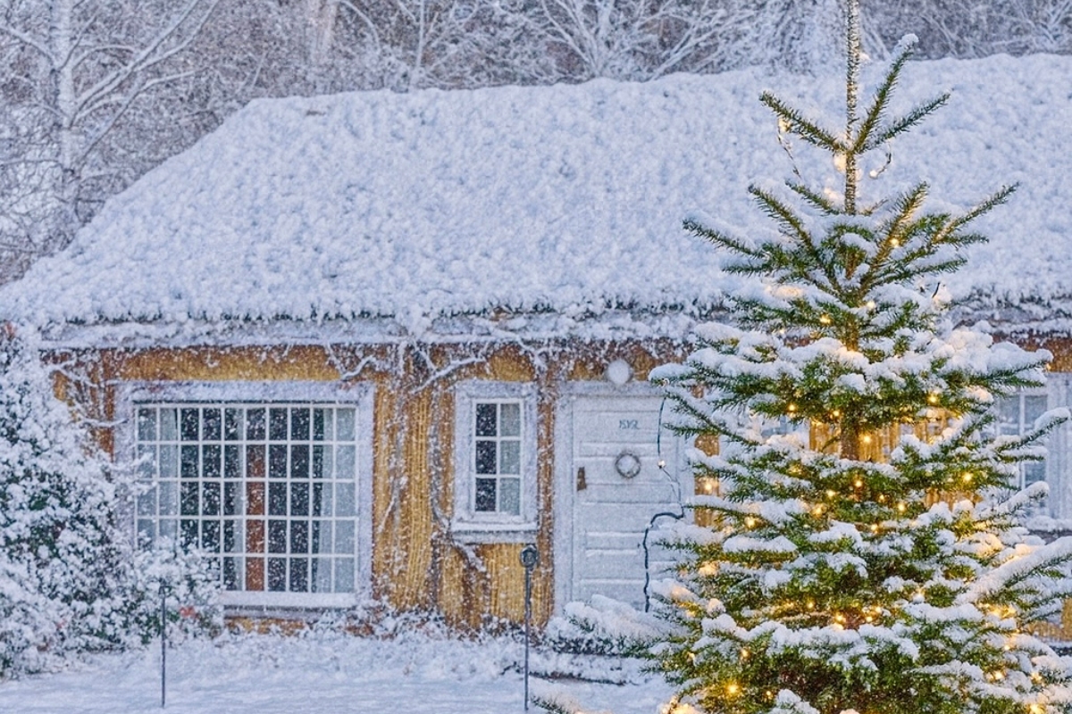 a tree outside of a house