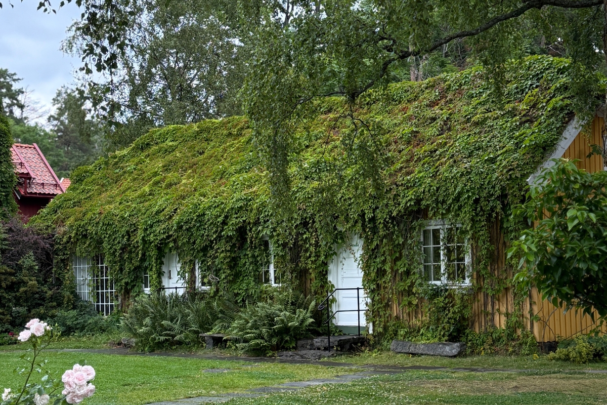 a house with a green roof covered in ivy