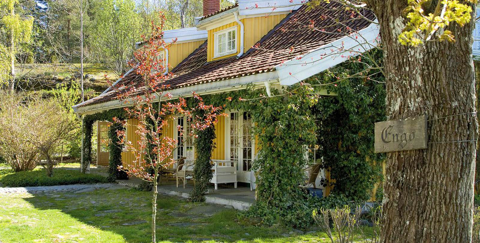 a house with trees and plants around it