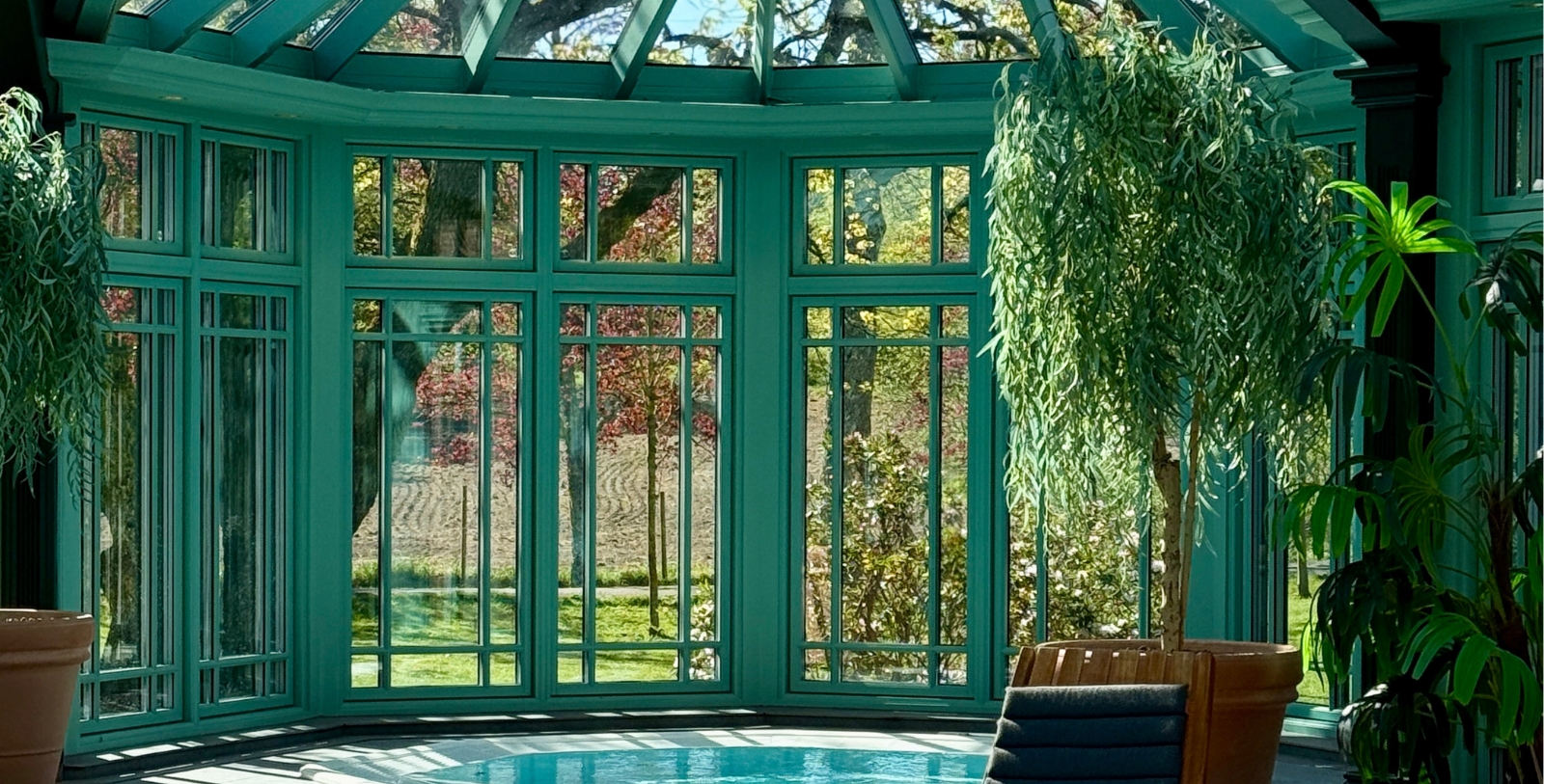 a room with a pool and a tree
