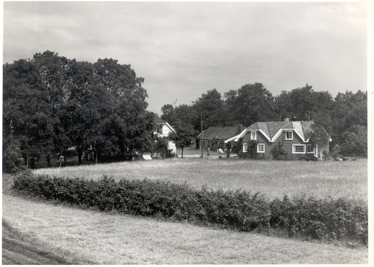 a field of grass and a house