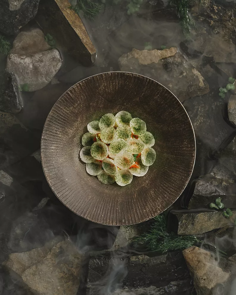 a bowl of food on rocks