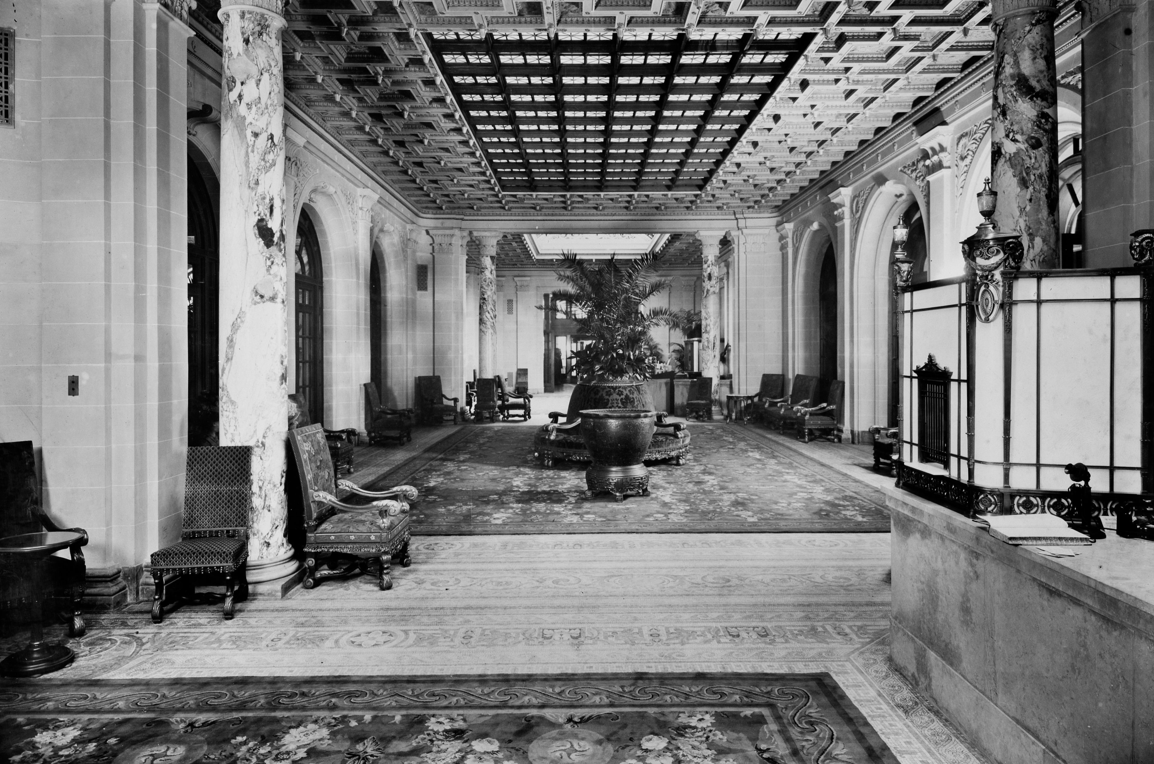 a large room with a tree in it