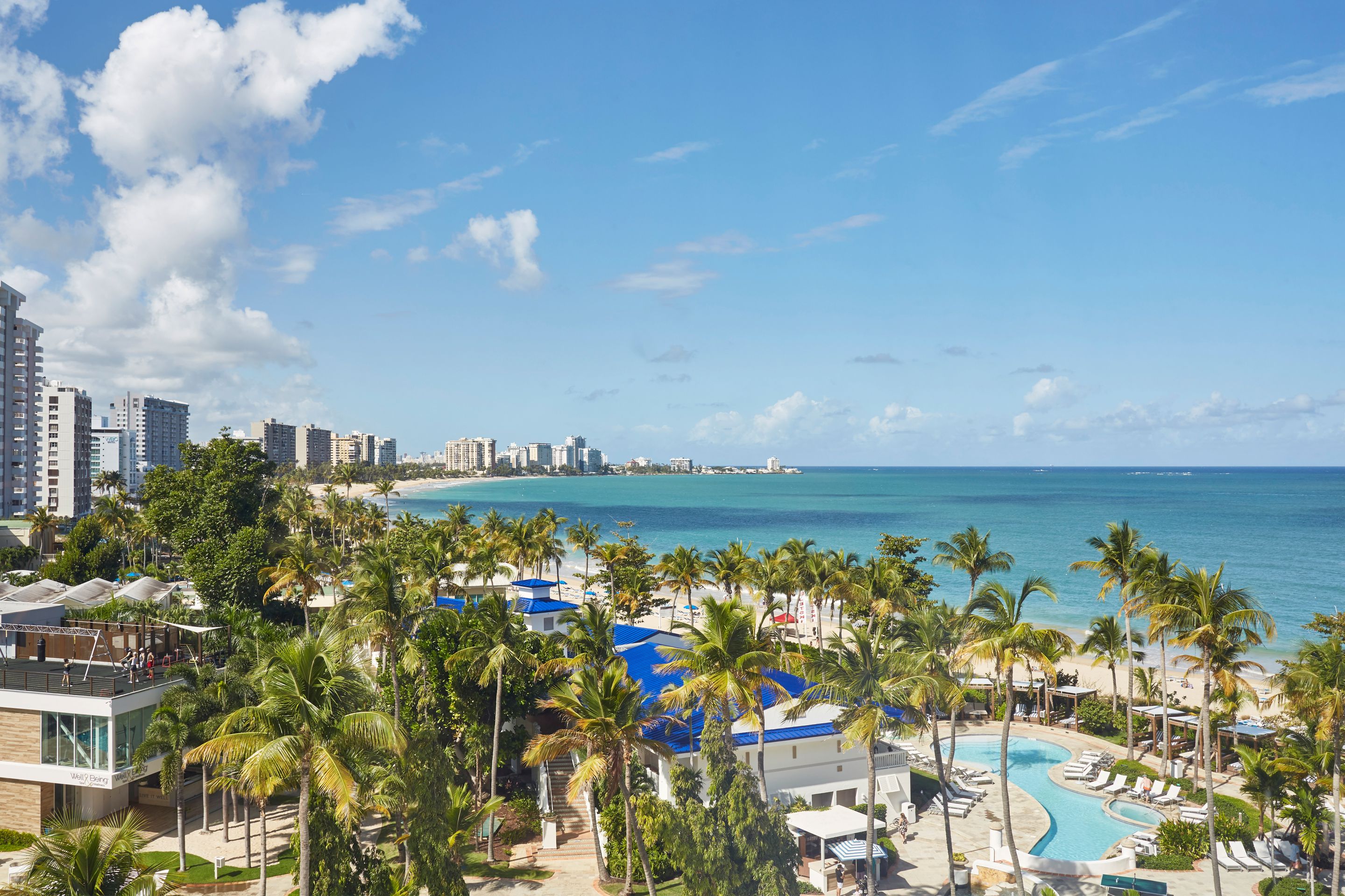 a beach with palm trees and buildings