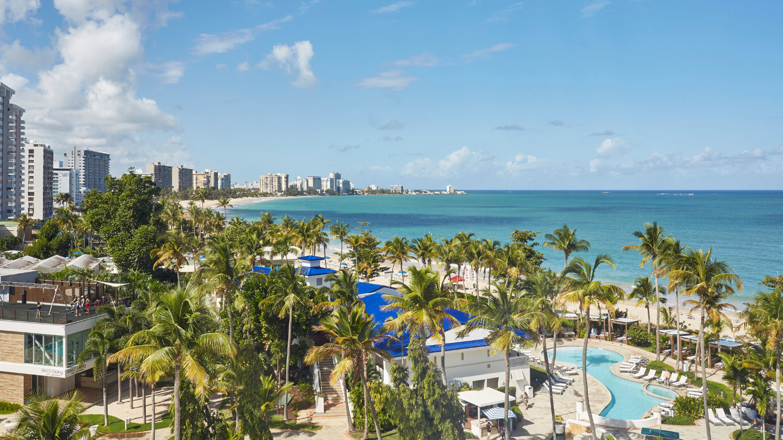 a beach with palm trees and buildings