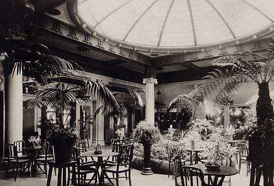 a room with plants and a dome ceiling