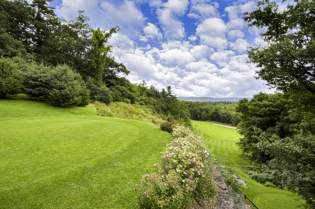 a grassy area with trees and a blue sky