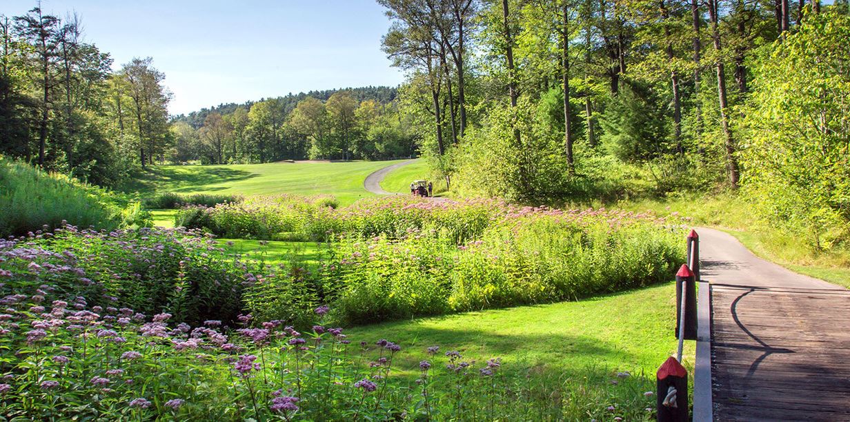 a field of flowers and a buggy