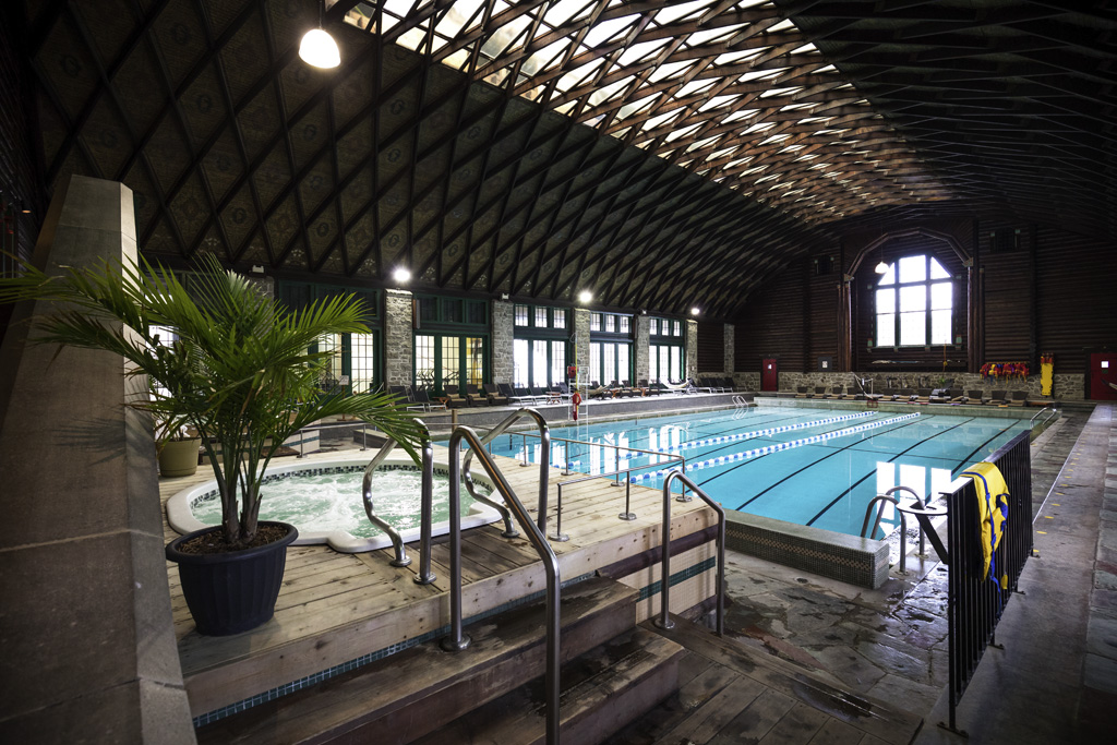 a indoor swimming pool with a large pool and a potted plant