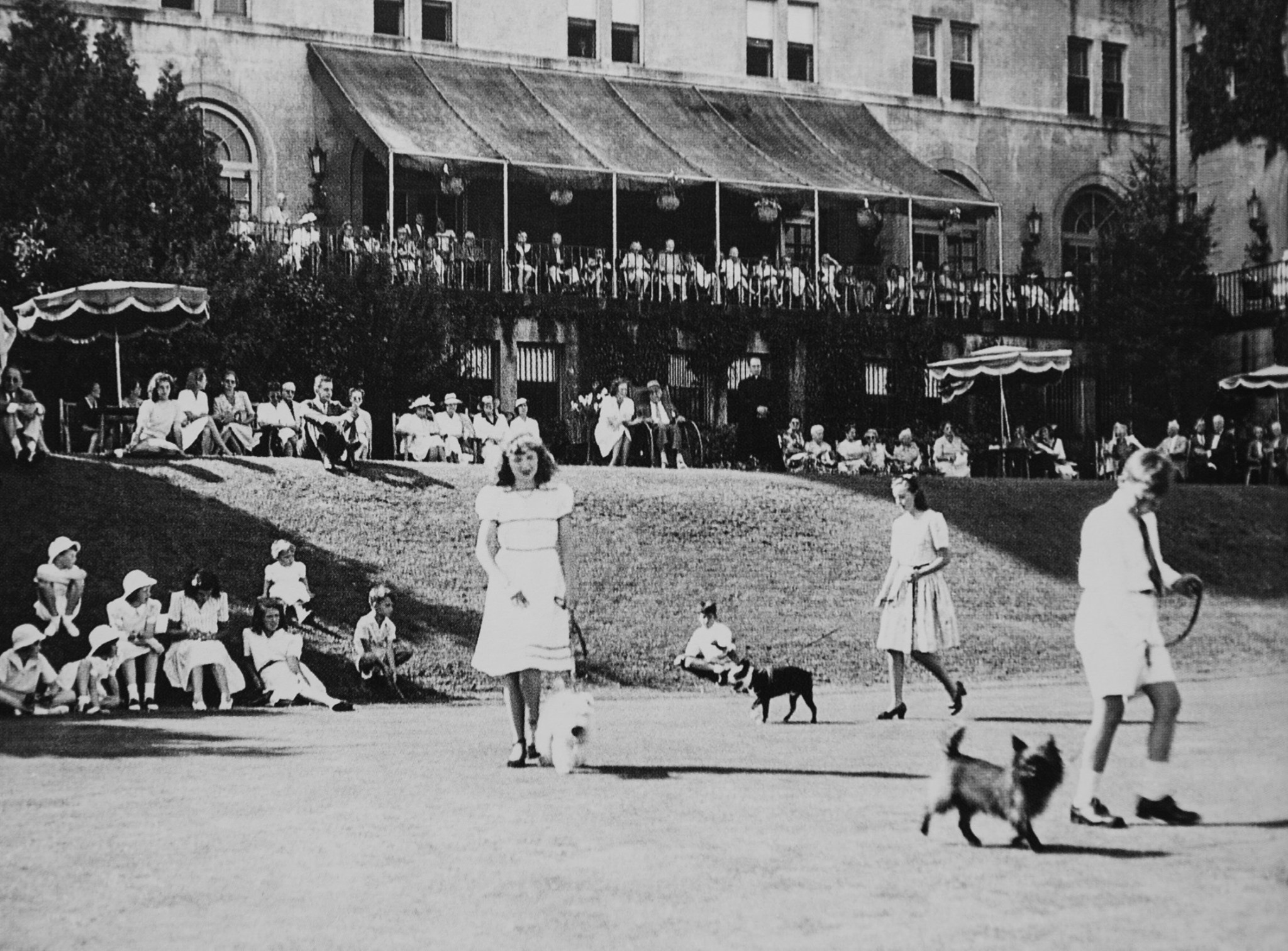 a group of people walking dogs in a park