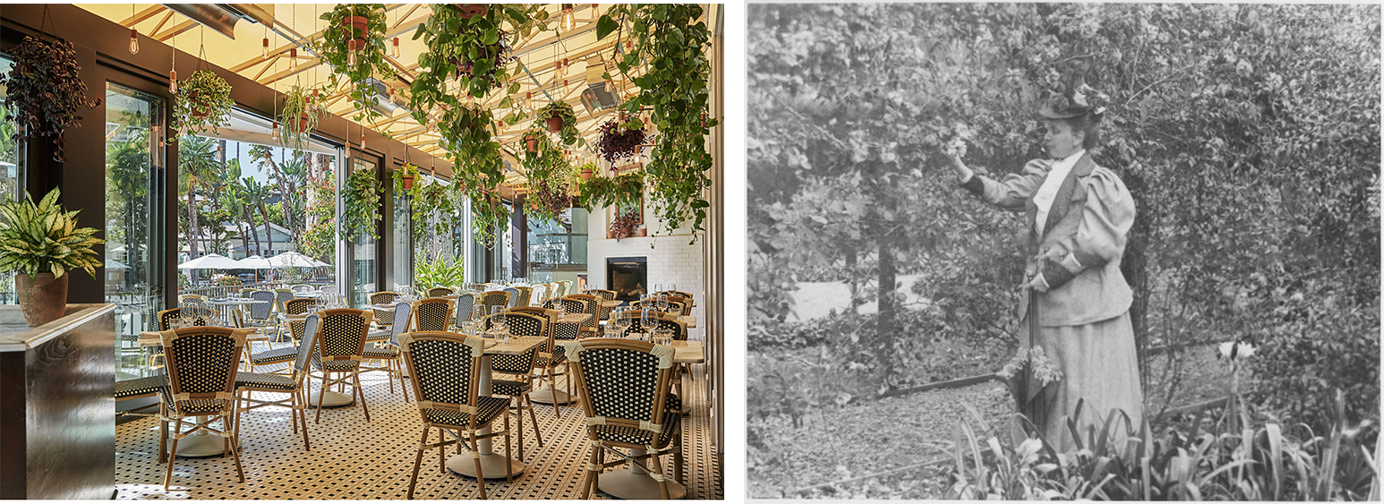 a restaurant with tables and chairs