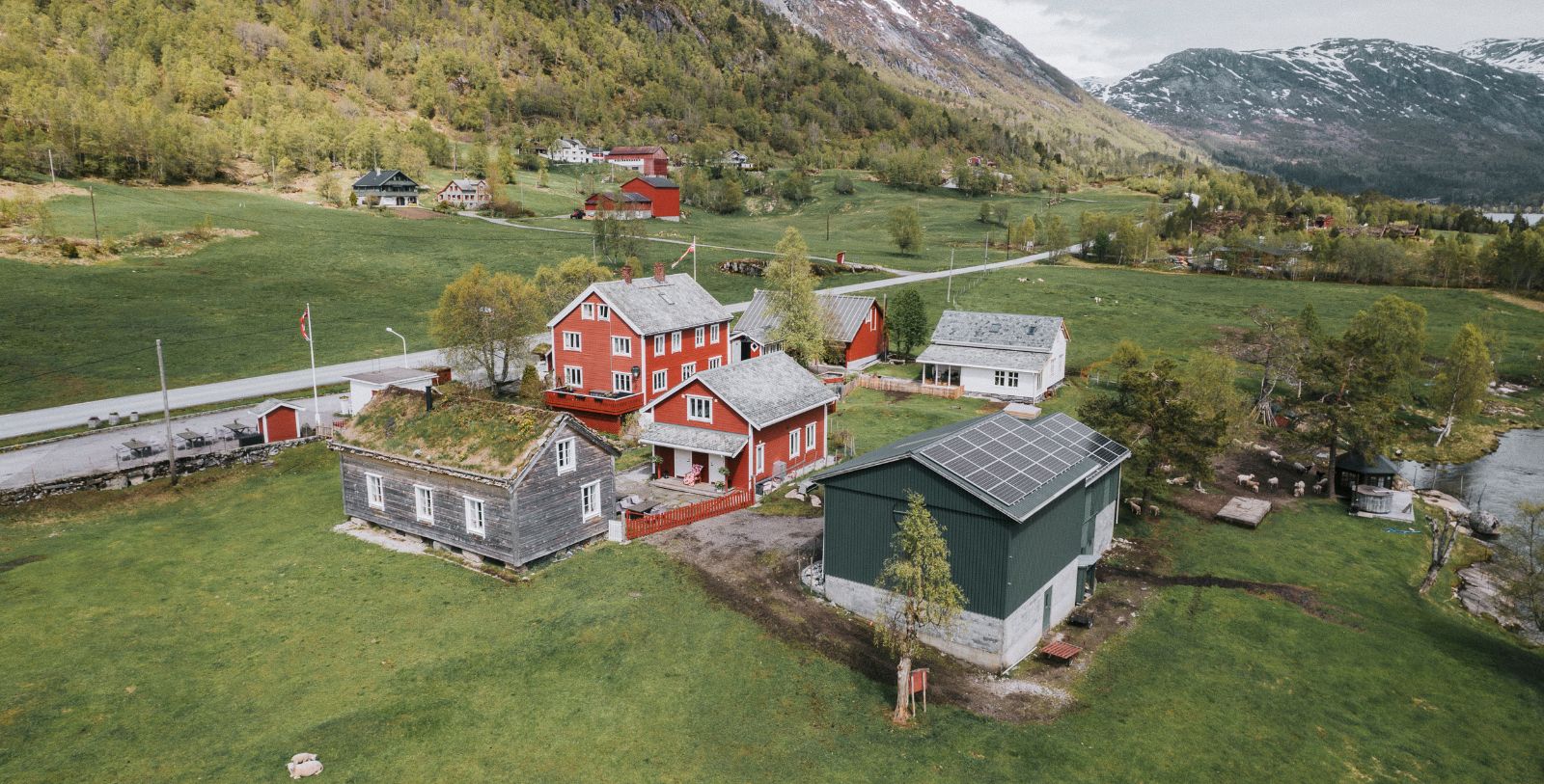 a group of houses in a green field