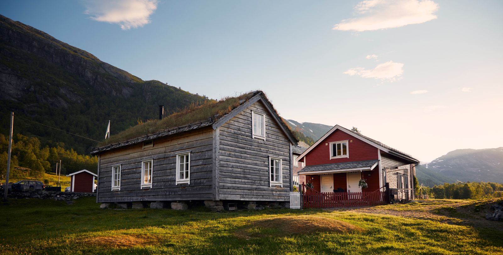 a house with grass on the roof