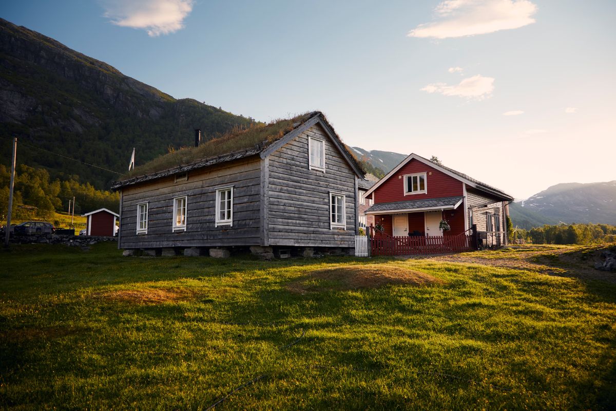 a group of houses in a grassy area