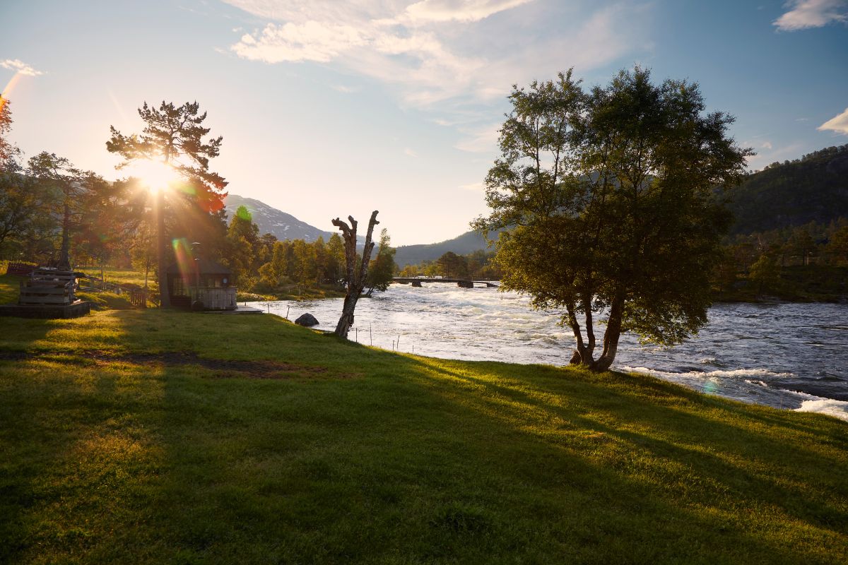 a grass field with trees and a river in the background