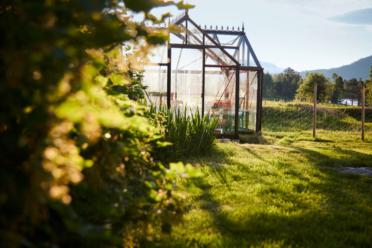 a greenhouse in a field