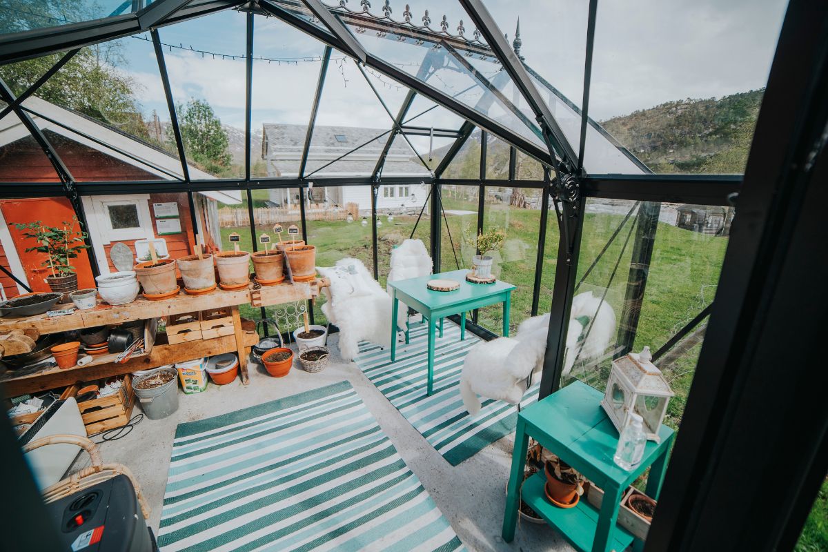 a glass greenhouse with a green roof and white animals