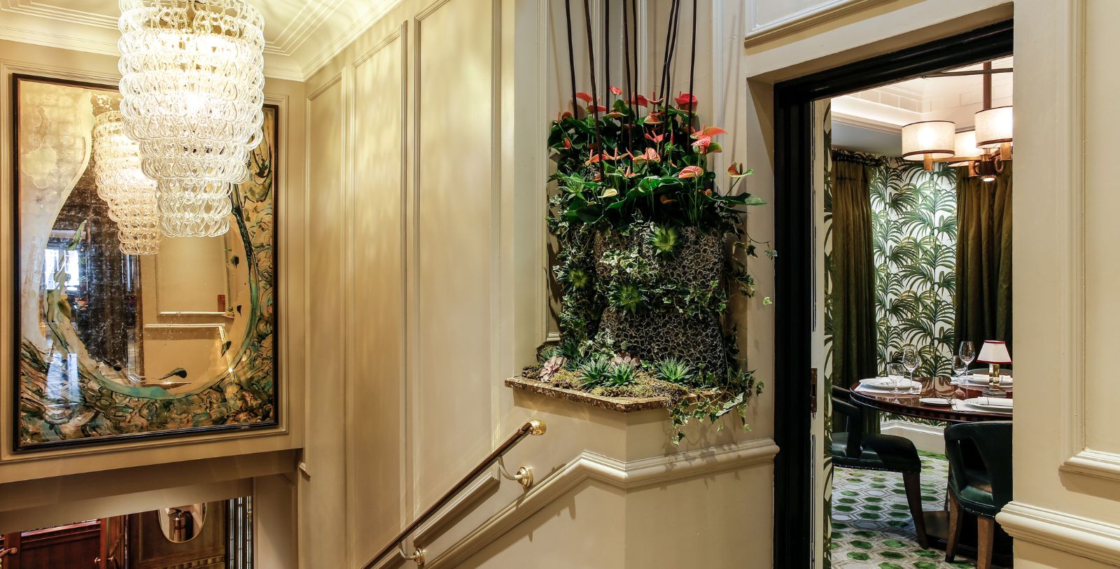a plant on the wall