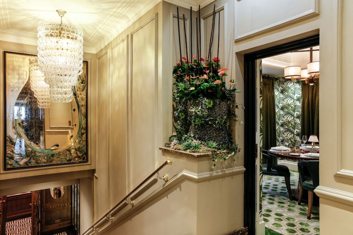 a room with a chandelier and a plant on the wall