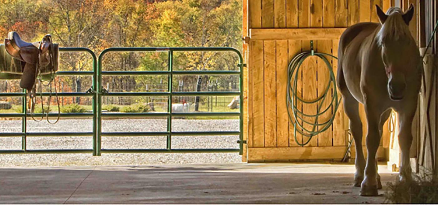 a green hose attached to a metal gate