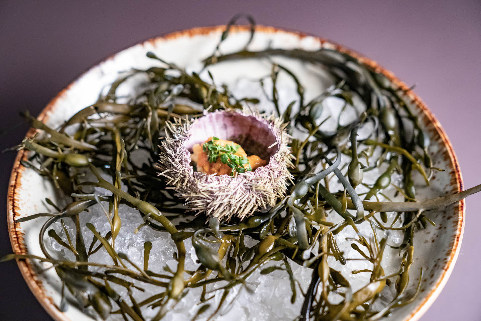a seaweed on a plate