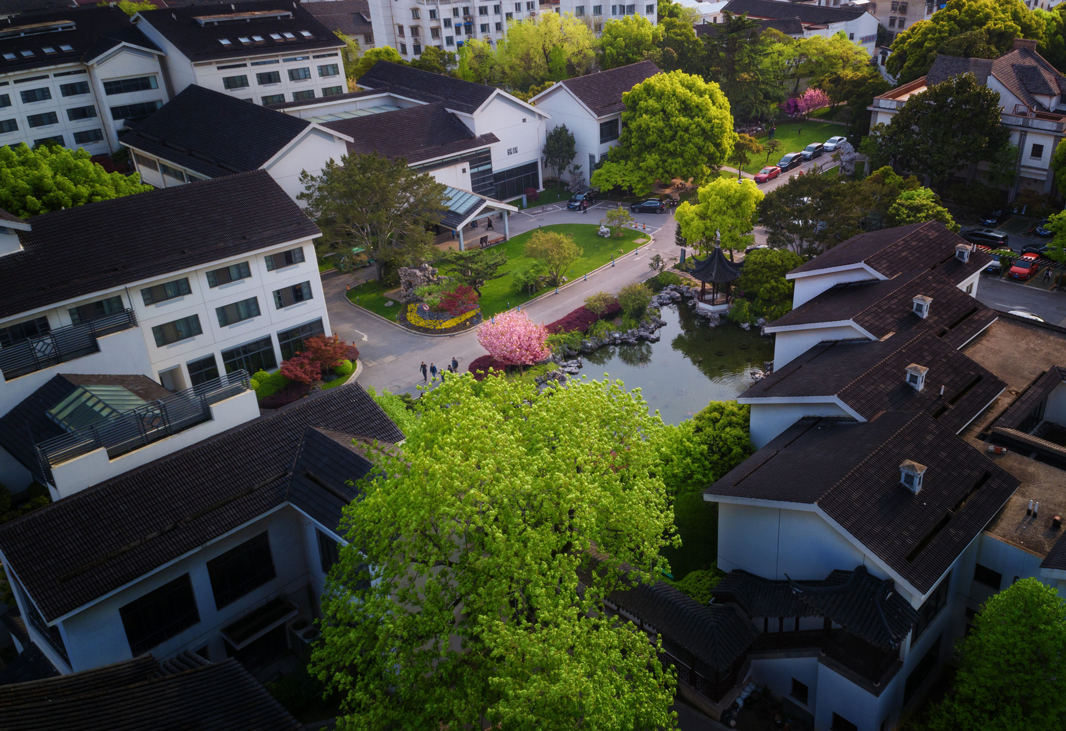 a group of buildings with trees and a pond