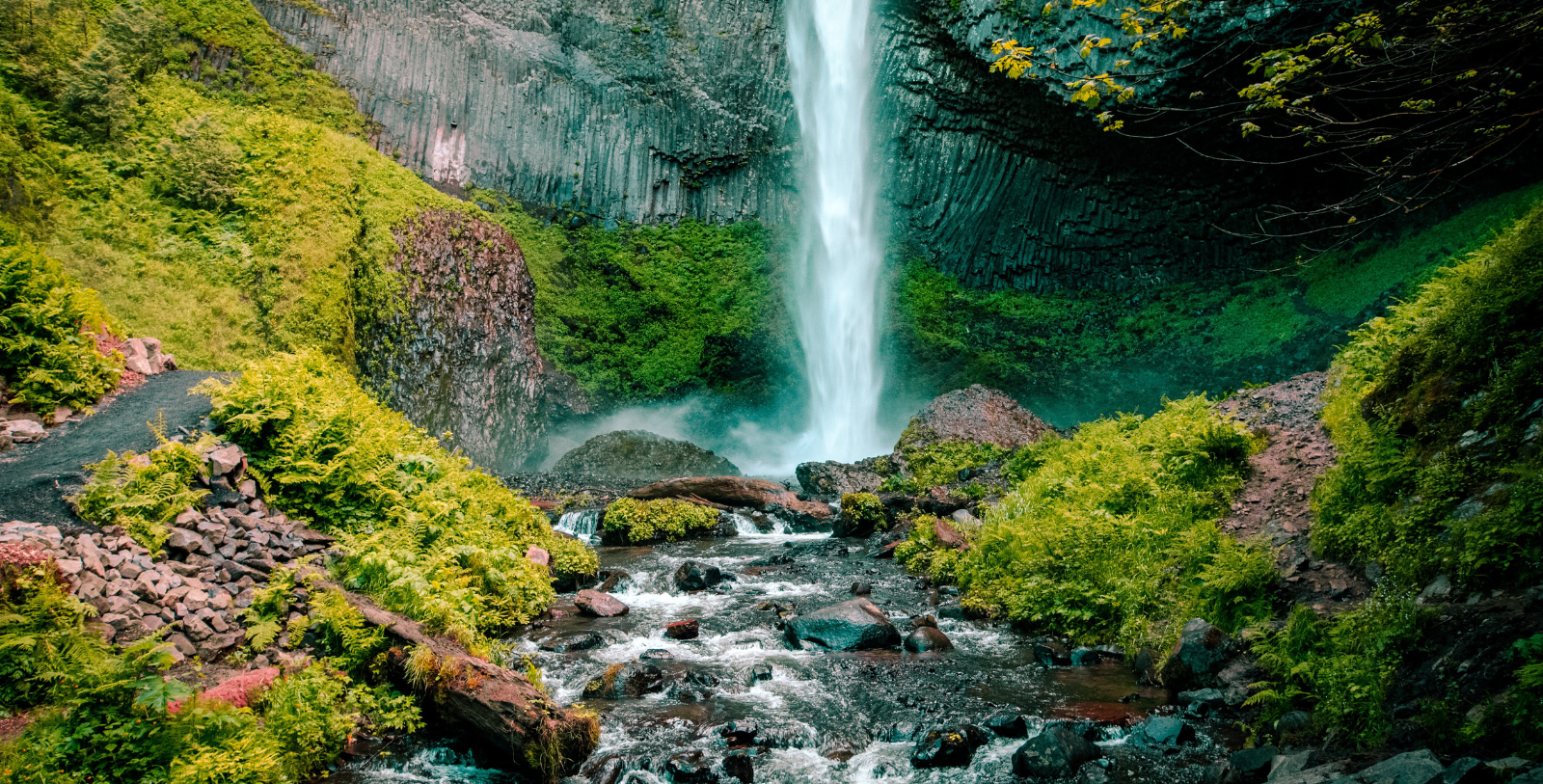 a waterfall in a forest