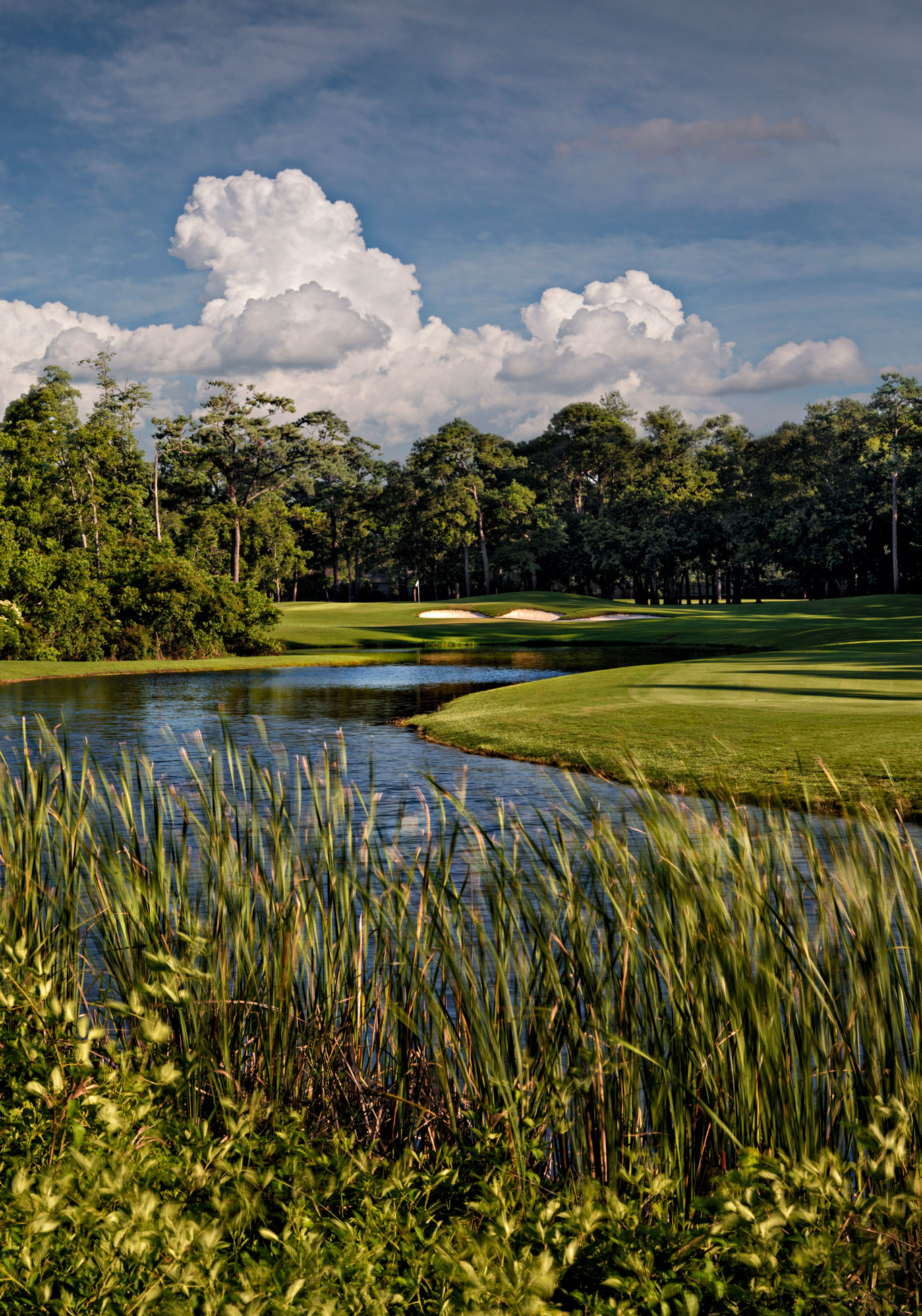 a pond with grass and trees around it