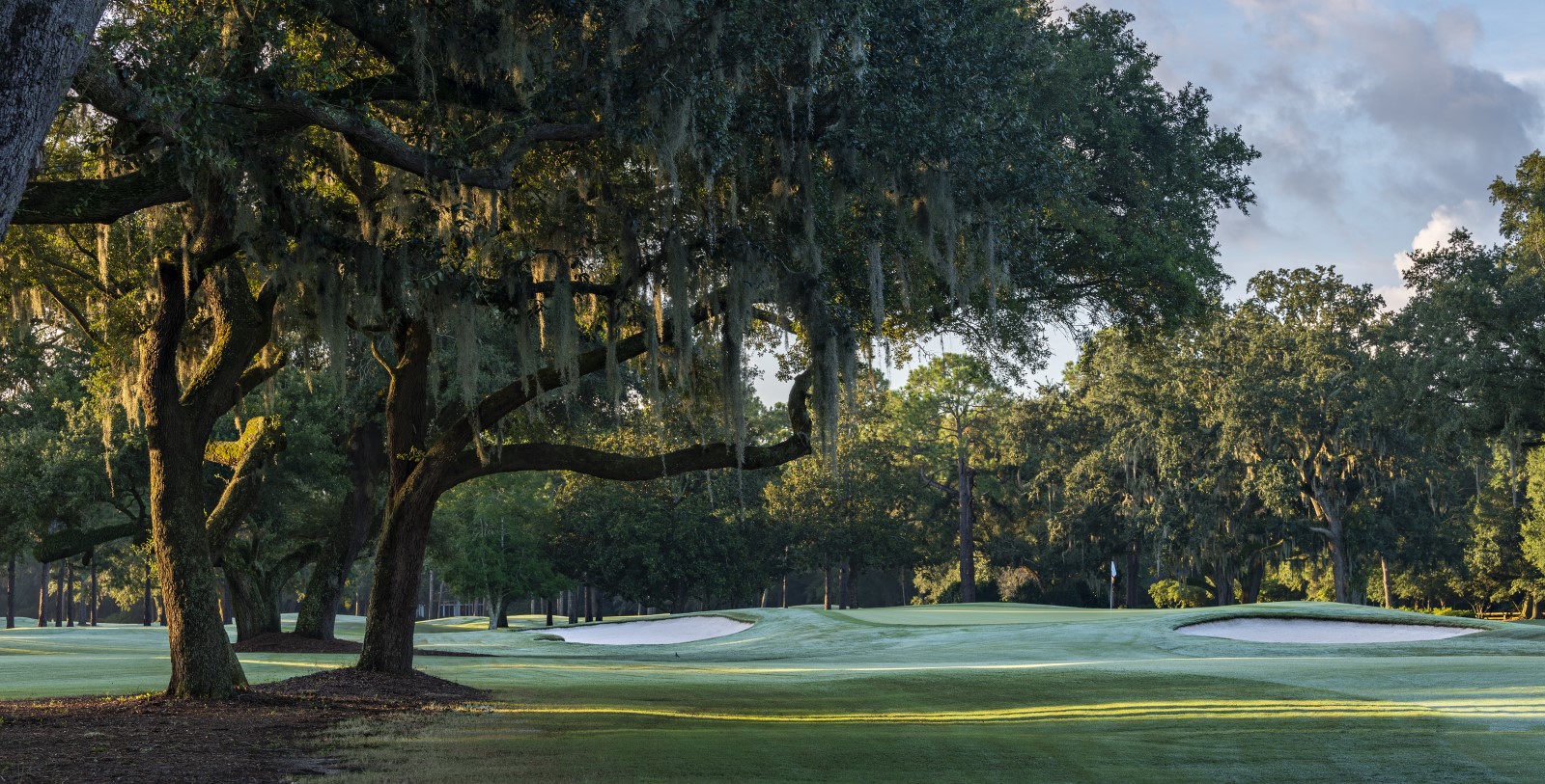 a golf course with a large tree