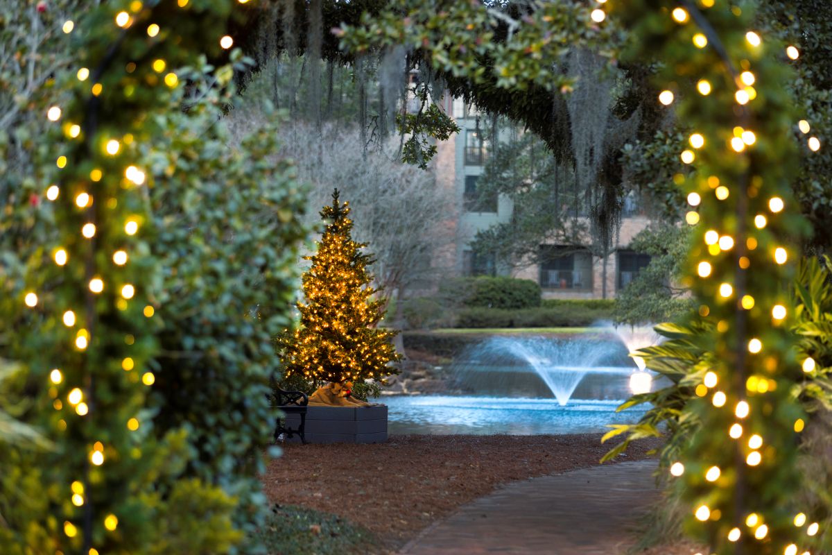 An illuminated Christmas tree and a illuminated archway framing a garden path and a fountain in a pond.