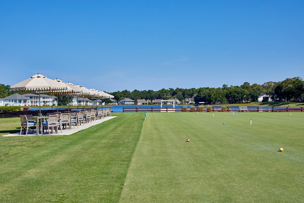 a lawn with chairs and a lake