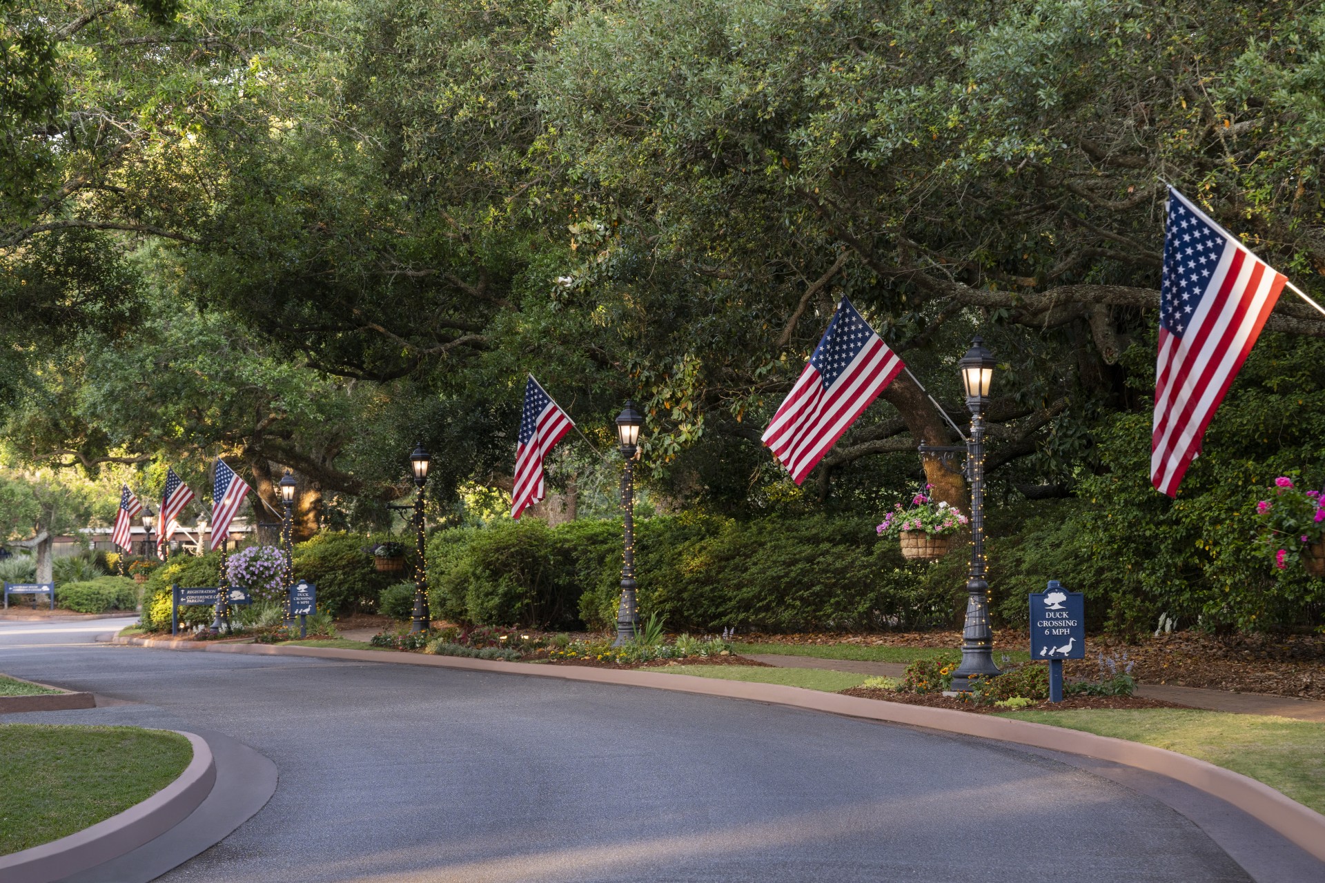 flags on a street with trees and bushes