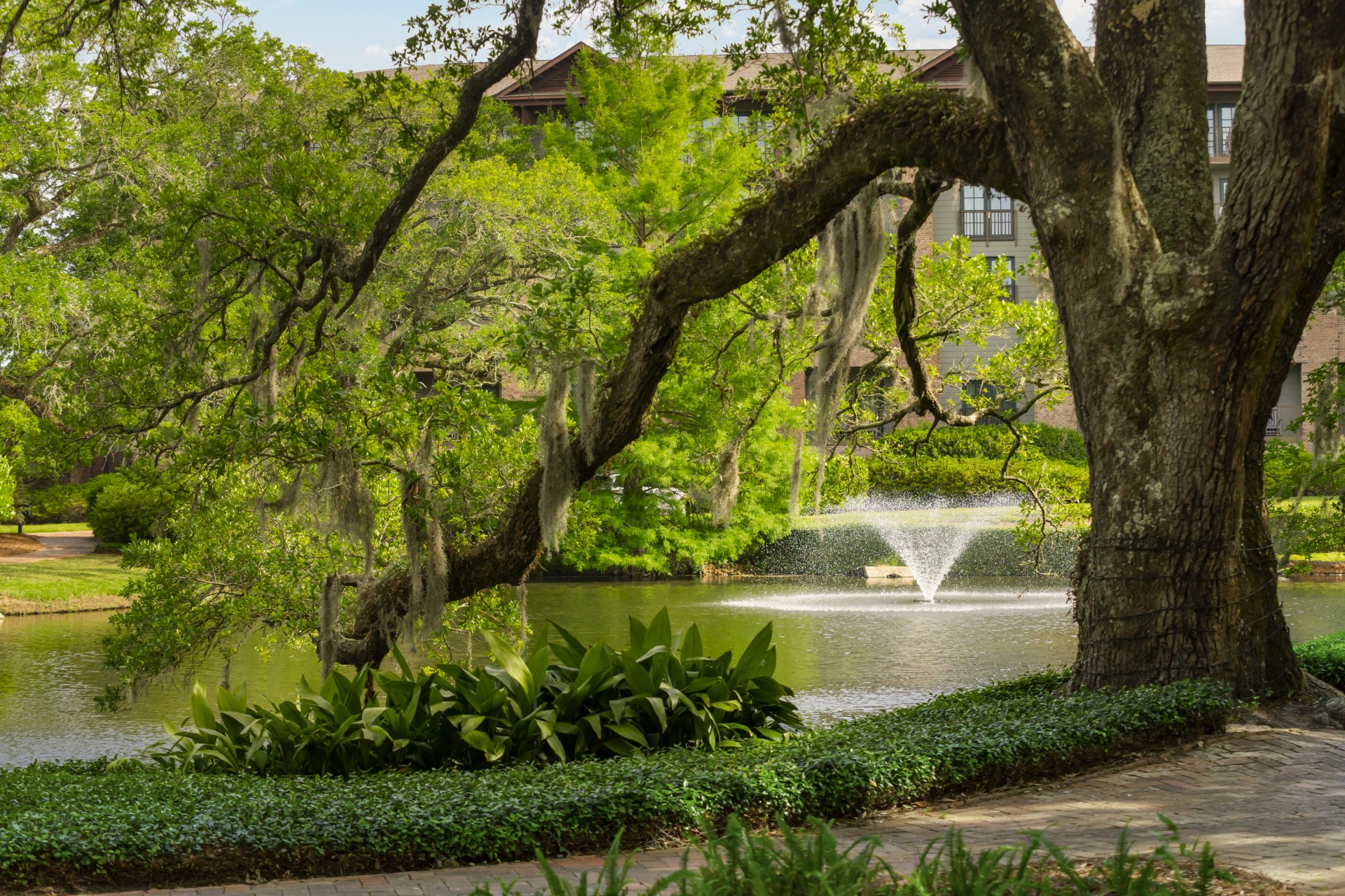 a tree with a fountain in the middle of a pond