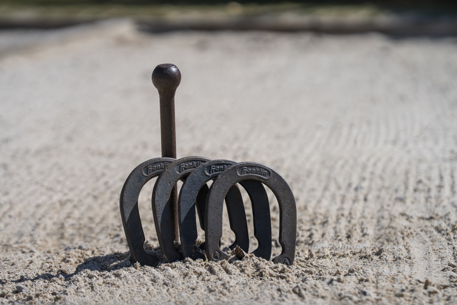 a group of horseshoes in the sand