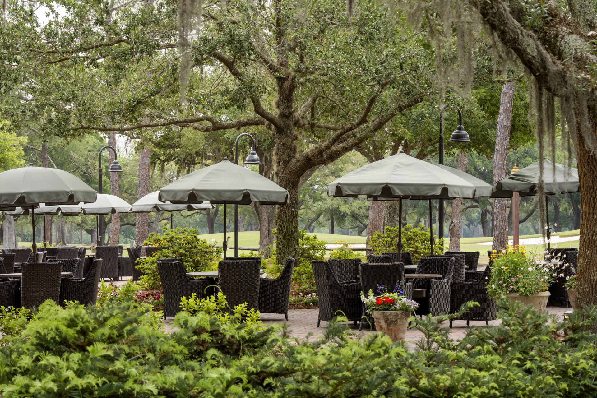 a group of chairs and umbrellas in a park