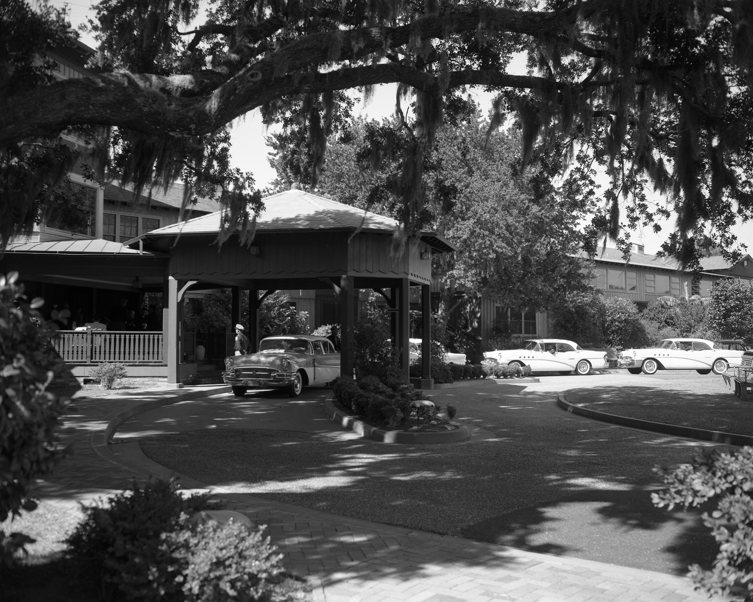 a car parked under a tree