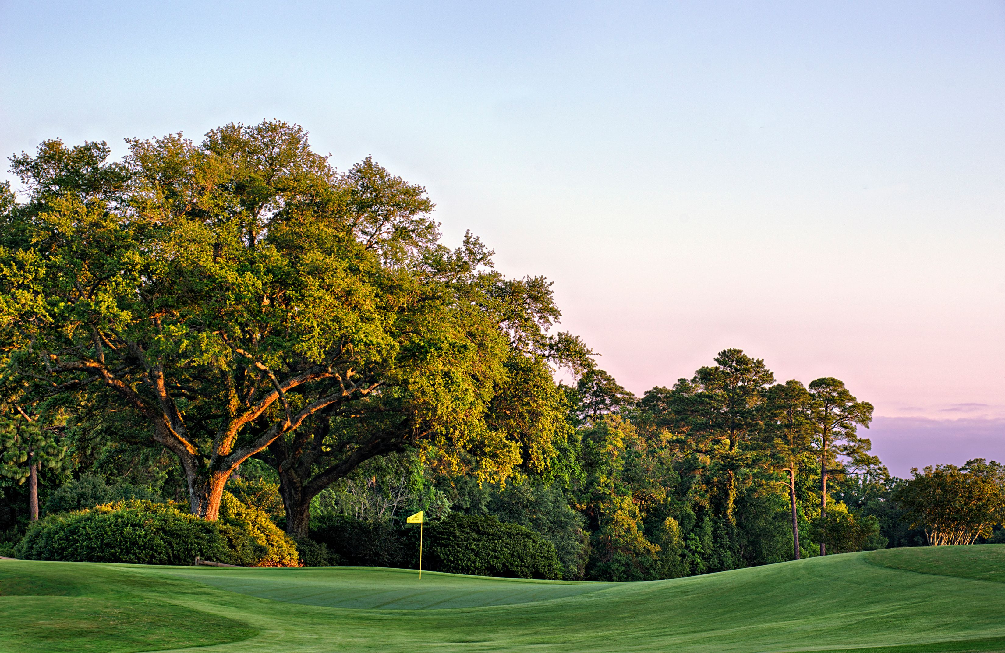 a golf course with trees and a flag