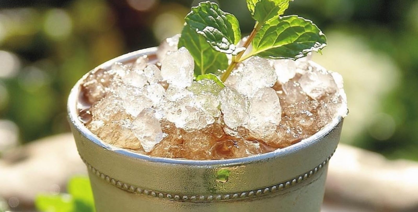a cup with ice and a plant in it